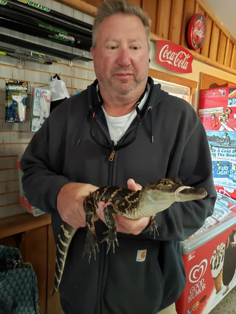 Michael holding a live baby alligator inside a roadside shop, grinning
