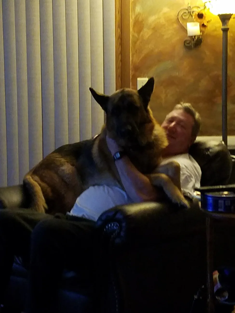 Michael and the German Shepherd settled in together on the couch, lamp-lit